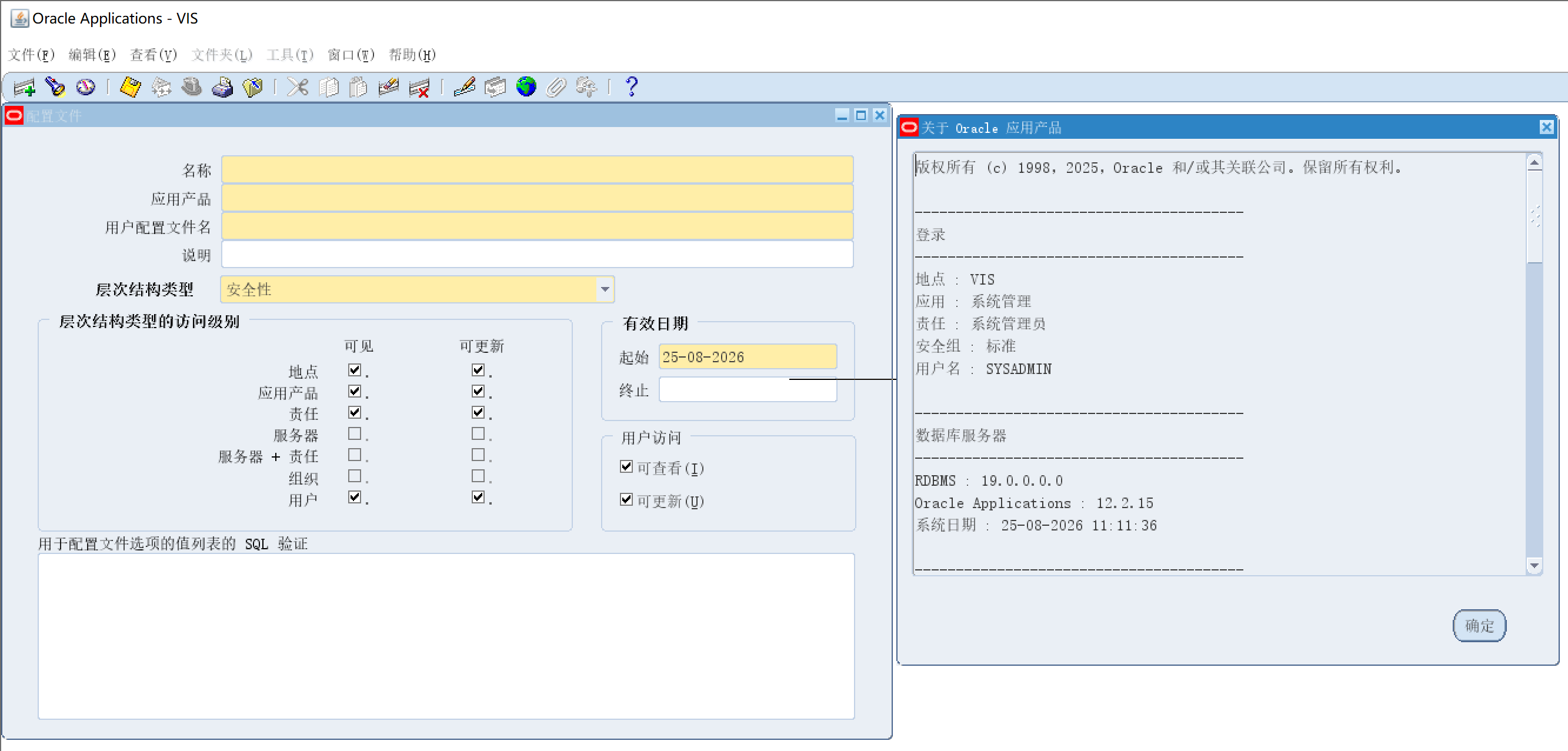 Windows 位图缩放下 Oracle EBS Forms 界面文字和线条发虚