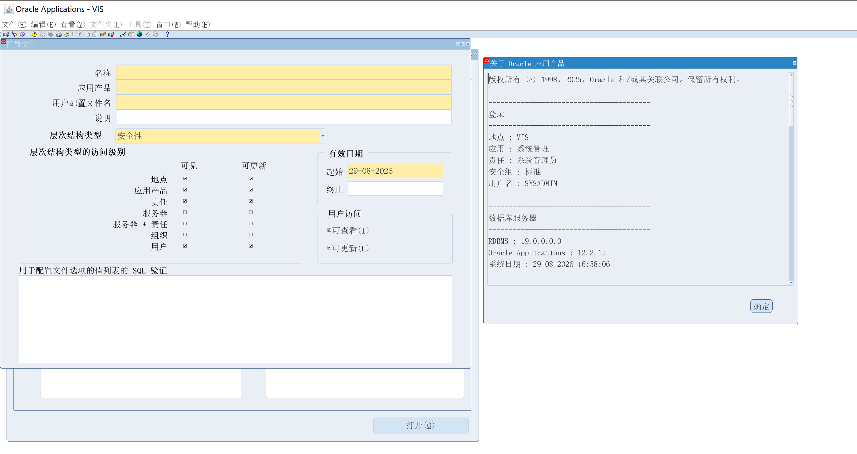 应用程序高 DPI 模式配合 clientDPI 后 Oracle EBS Forms 界面清晰